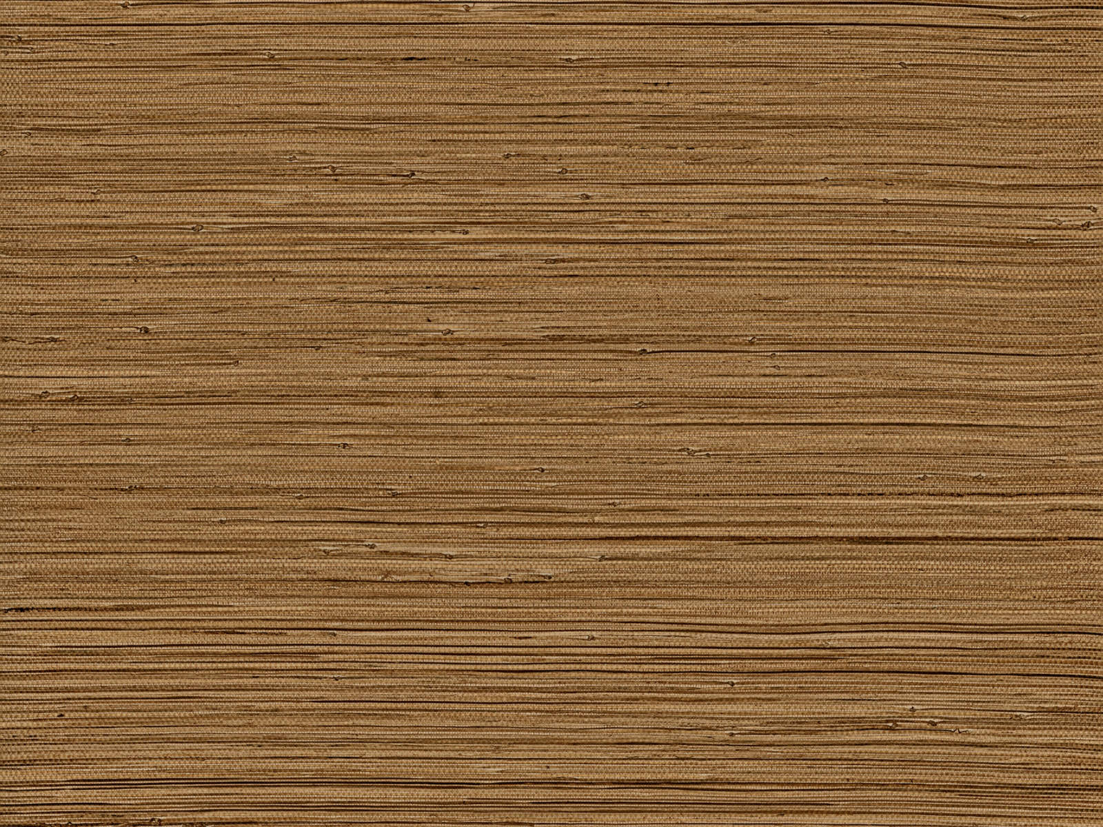 Arte Intuition Aesthetic - INT262