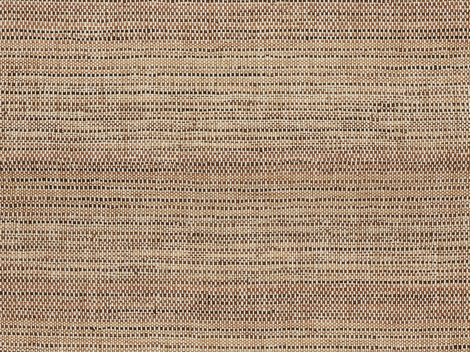 Arte Intuition Perception - INT312