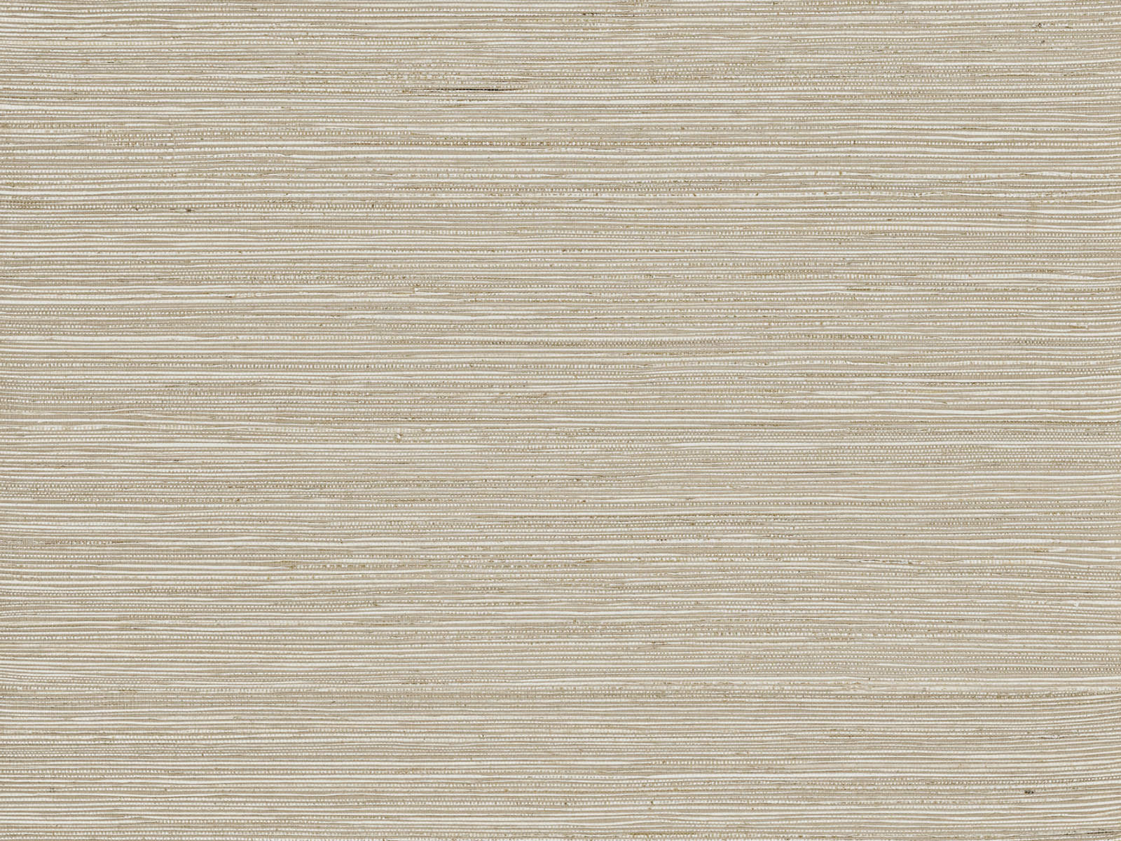 Arte Intuition Instinct - INT515