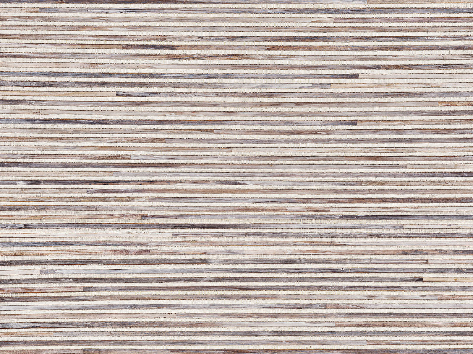 Arte Light At Night Moonlight - LAN211