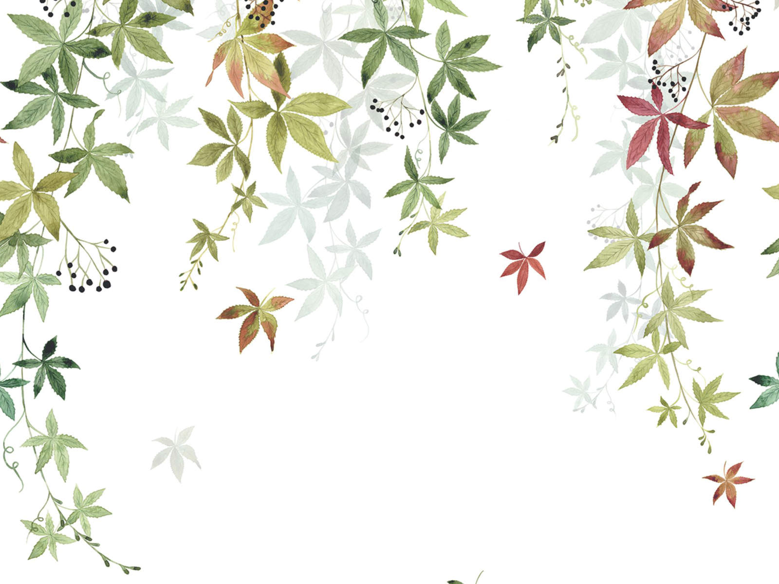 Casadeco Wonderwalls 2 Vigne en Fleur M - 200067903