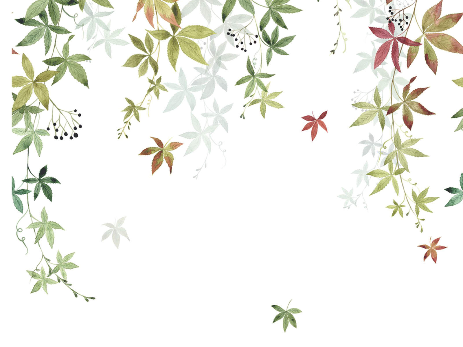 Casadeco Wonderwalls 2 Vigne en Fleur L - 200067904