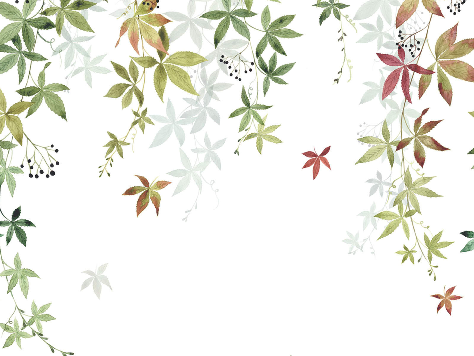 Casadeco Wonderwalls 2 Vigne en Fleur S - 200067905