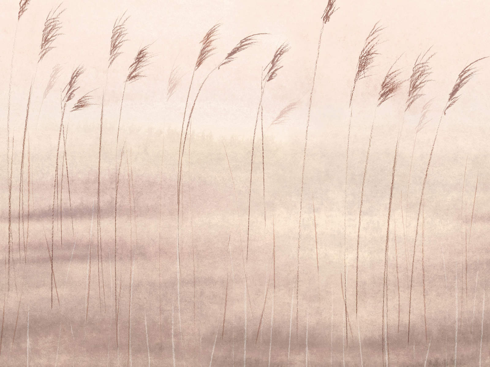 Casadeco Wonderwalls 2 Jonc des Dunes M - 200081503