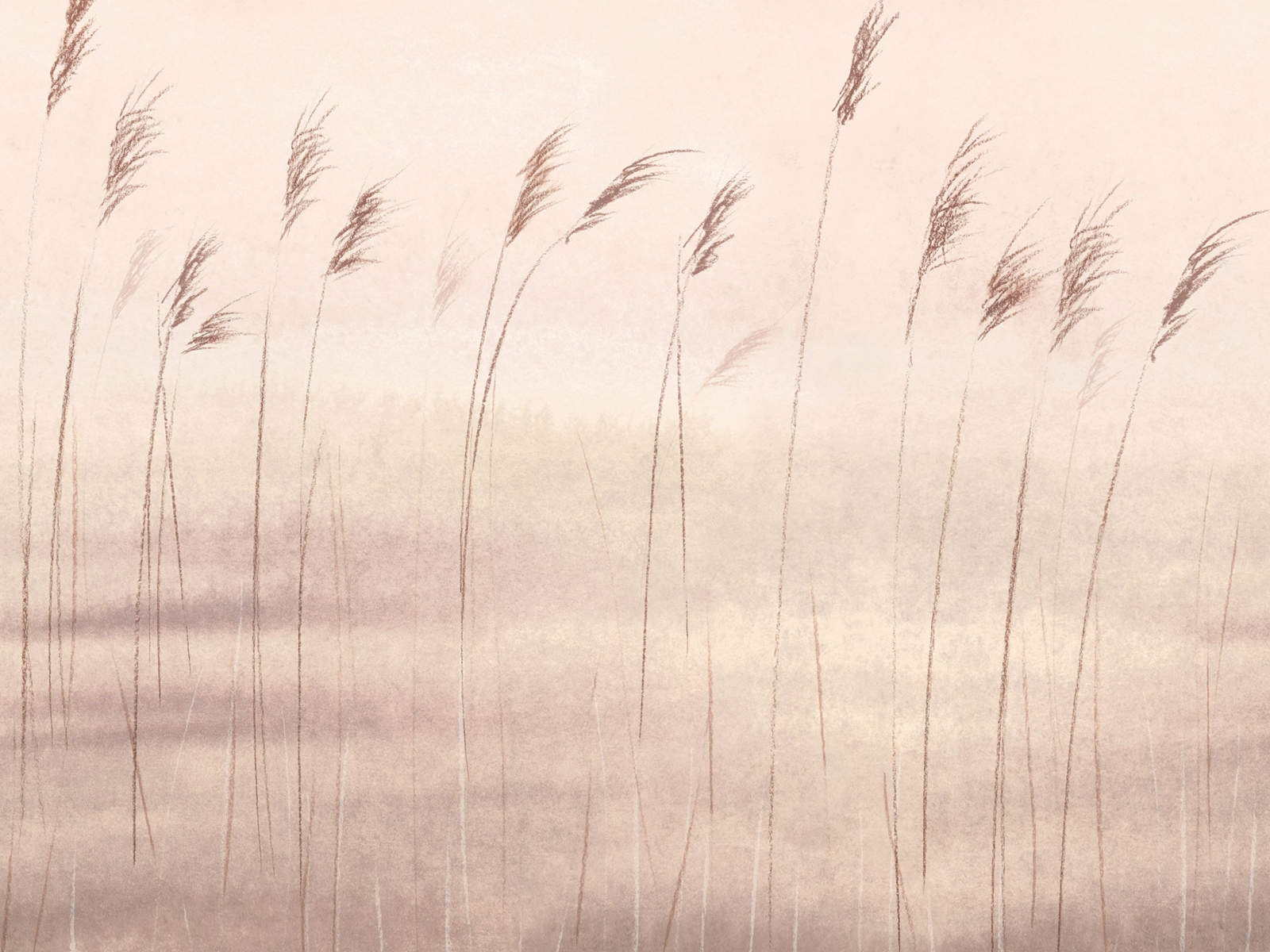 Casadeco Wonderwalls 2 Jonc des Dunes L - 200081504