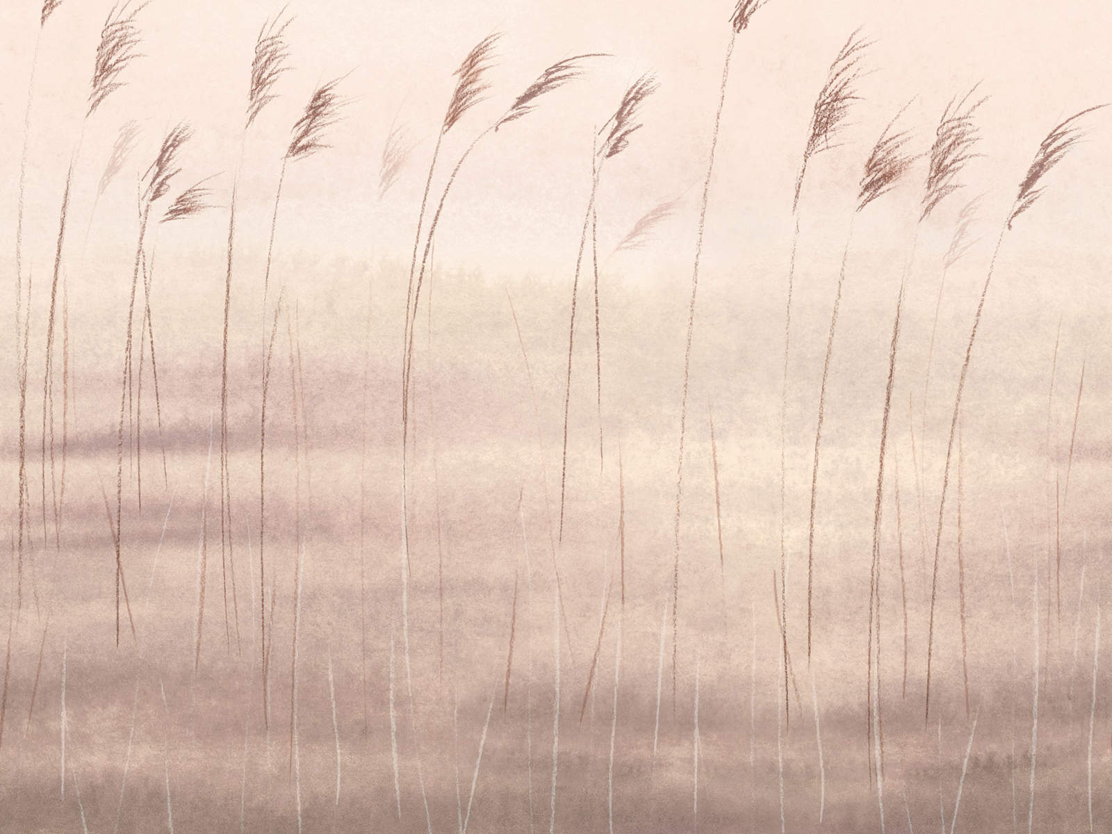 Casadeco Wonderwalls 2 Jonc des Dunes S - 200081505