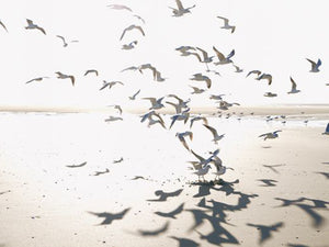 Casadeco Seaside Houlgate S - 201531010