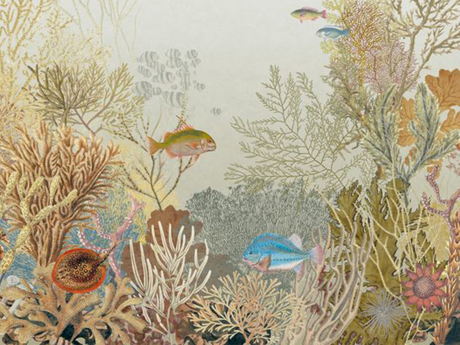 Casadeco Seaside Aquarium S - 201540307