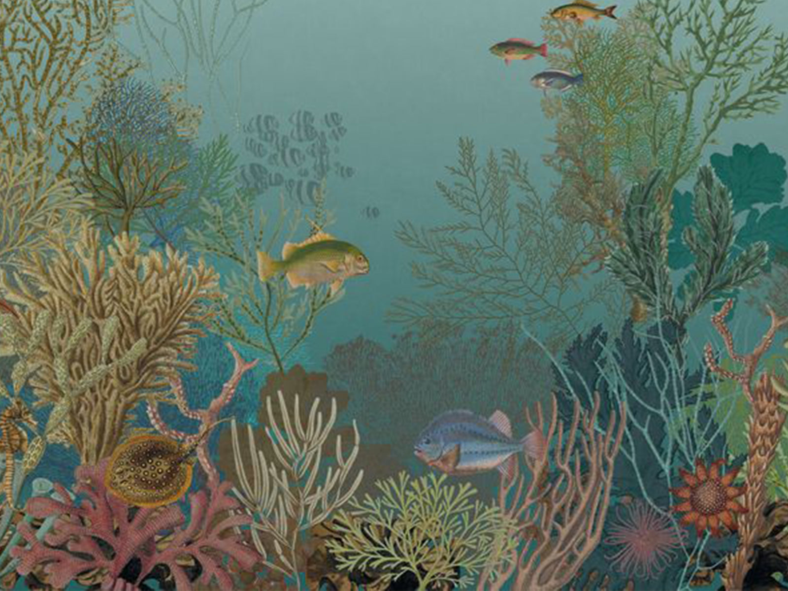 Casadeco Seaside Aquarium S - 201546307