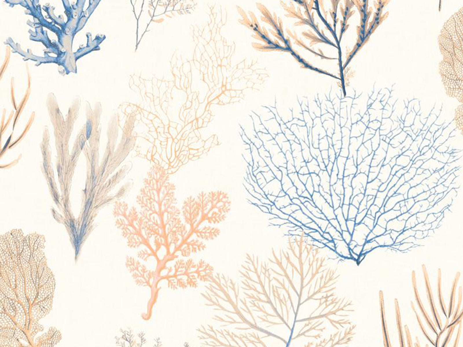 Casadeco Seaside Corail - 83976202