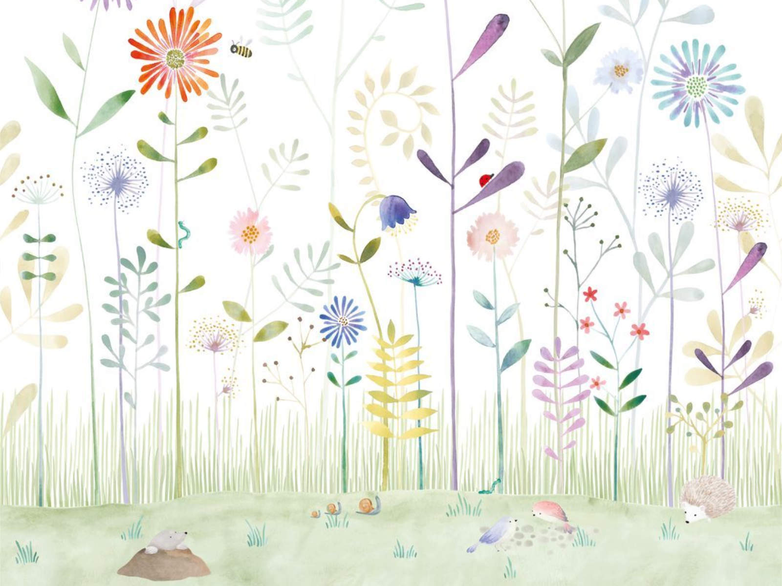 Casadeco Once Upon A Time The Garden Small World with Snail L - 88287204