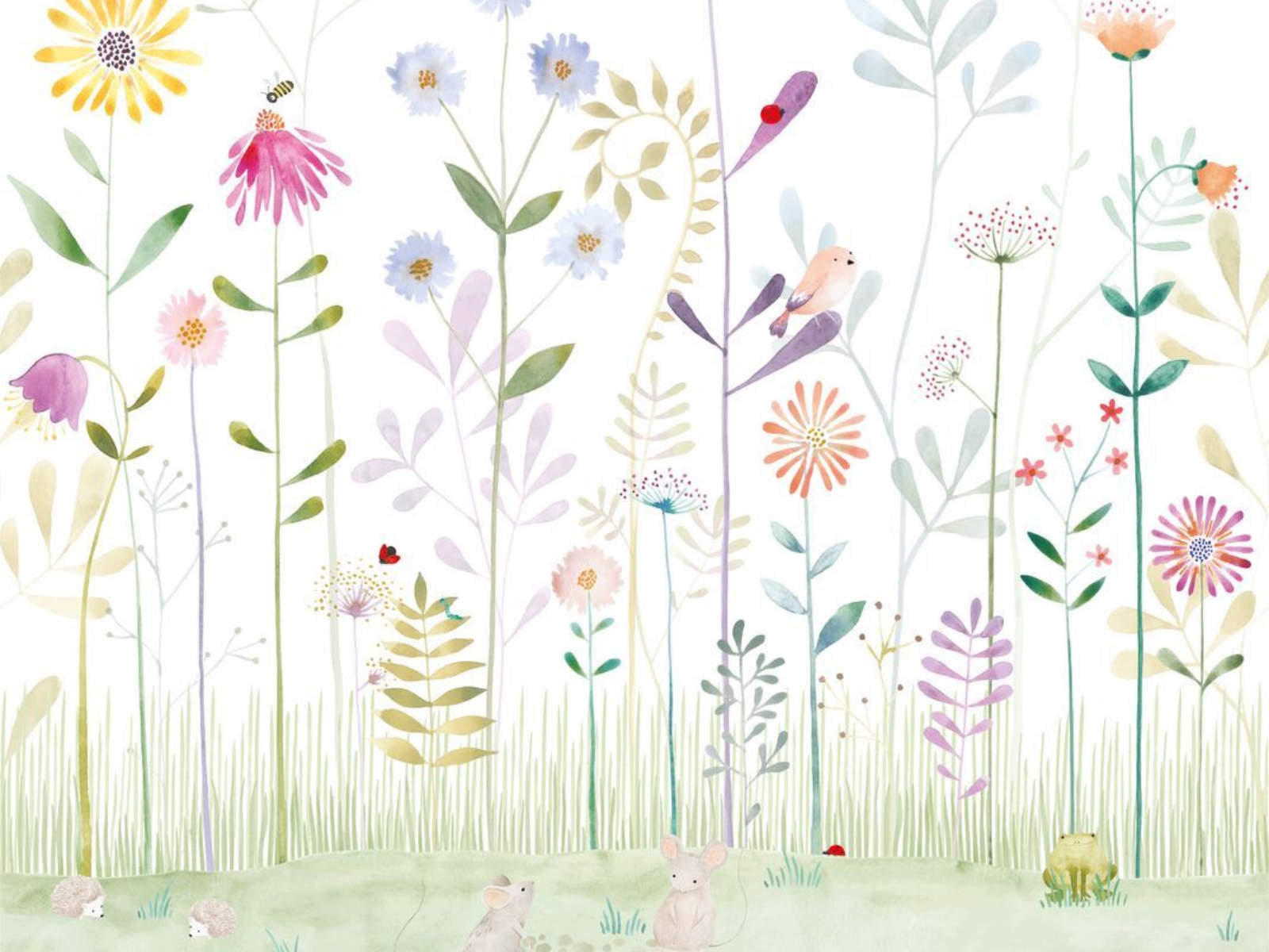 Casadeco Once Upon A Time The Garden Small World with Frog S - 88297405