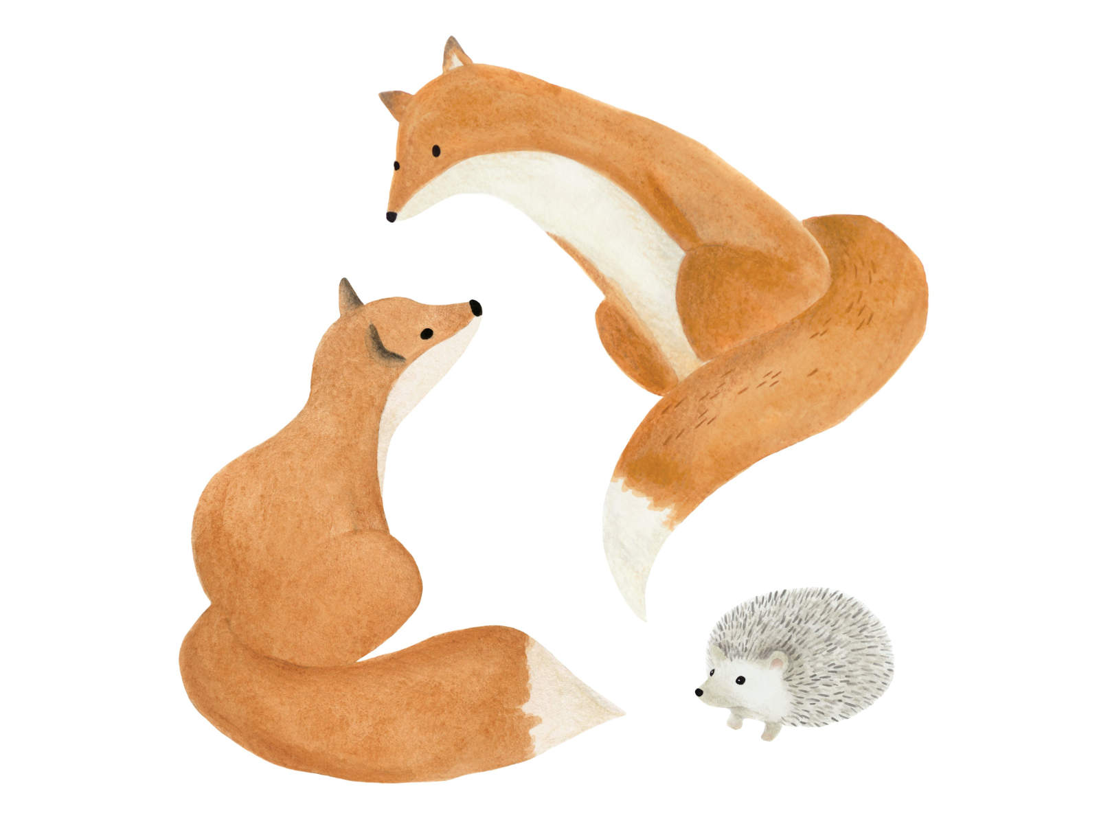 Casadeco Once Upon A Time Fox - 88593395