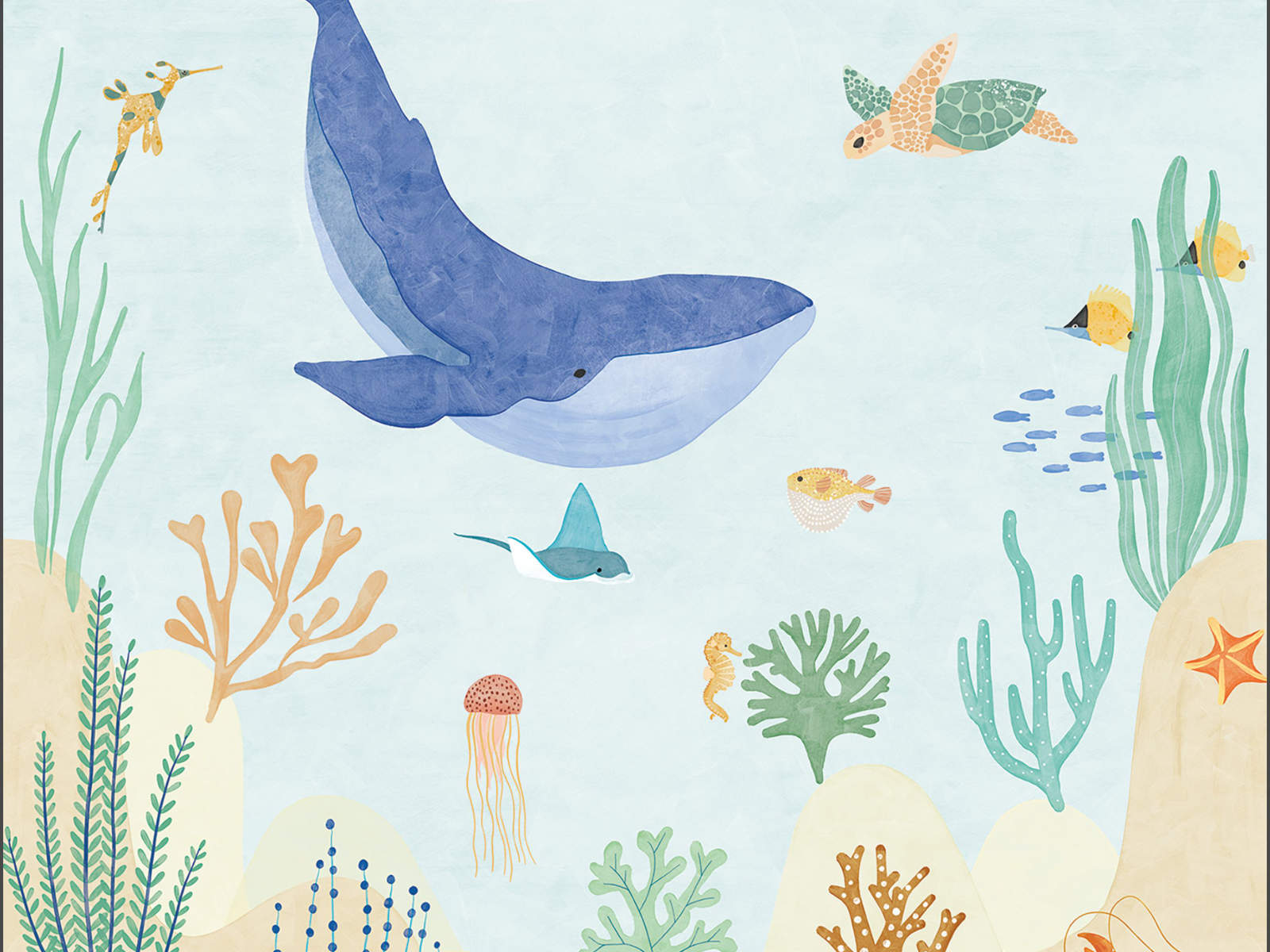 Caselio Les Mini Mondes Le Monde de la Mer S - 105666006