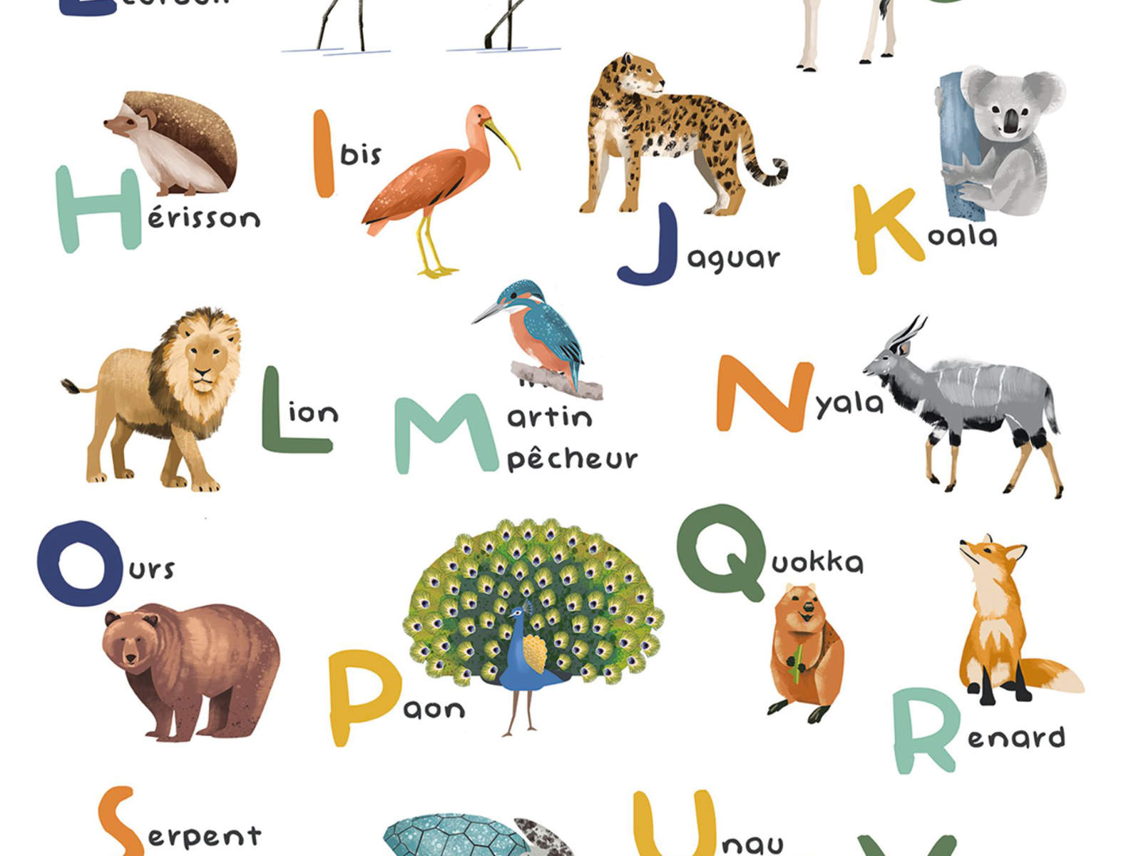 Caselio Les Mini Mondes Apprenons l'Alphabet L - 105672304