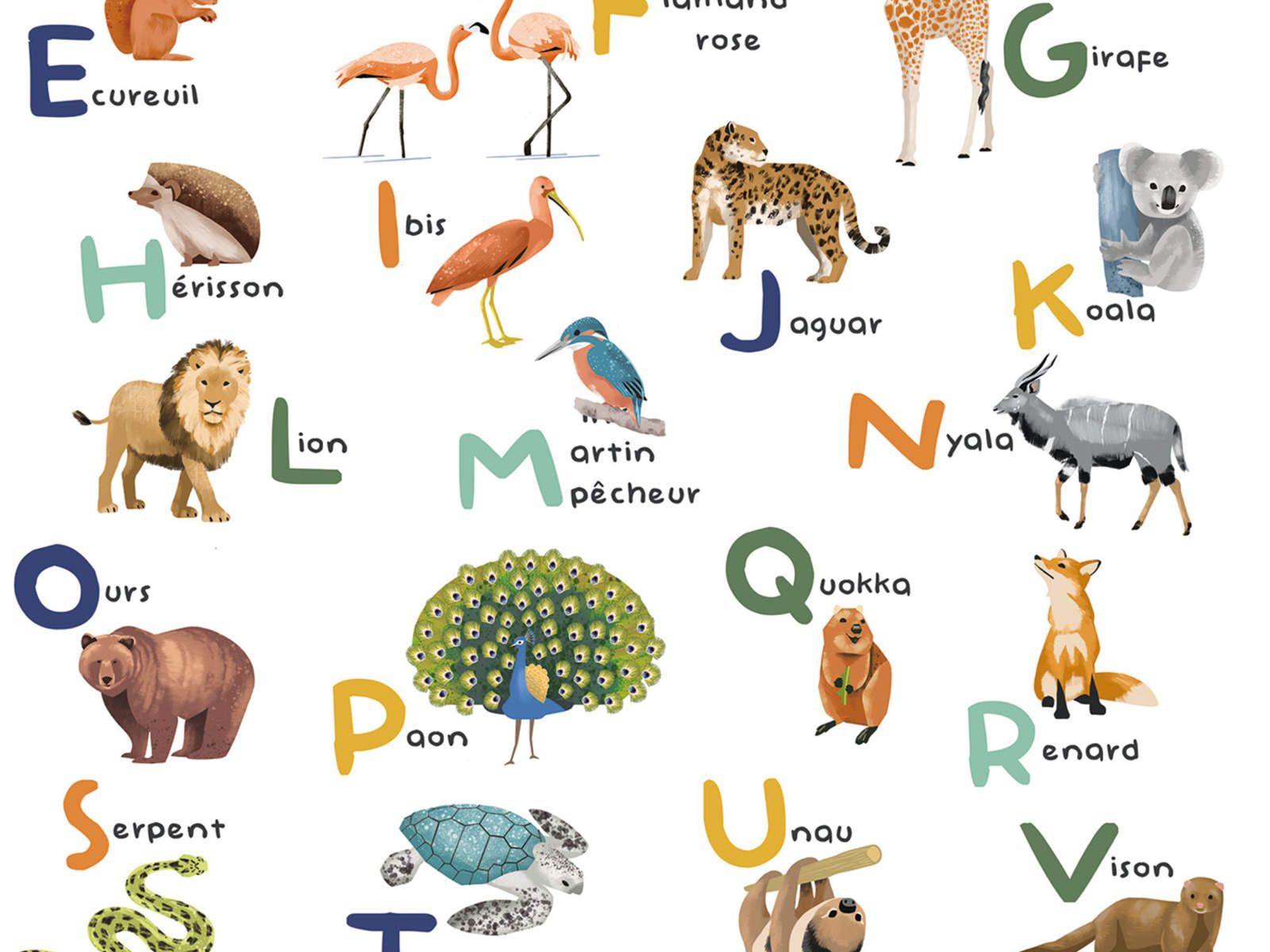 Caselio Les Mini Mondes Apprenons l'Alphabet S - 105672305