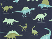 Caselio Les Mini Mondes Jurassique - 105706060