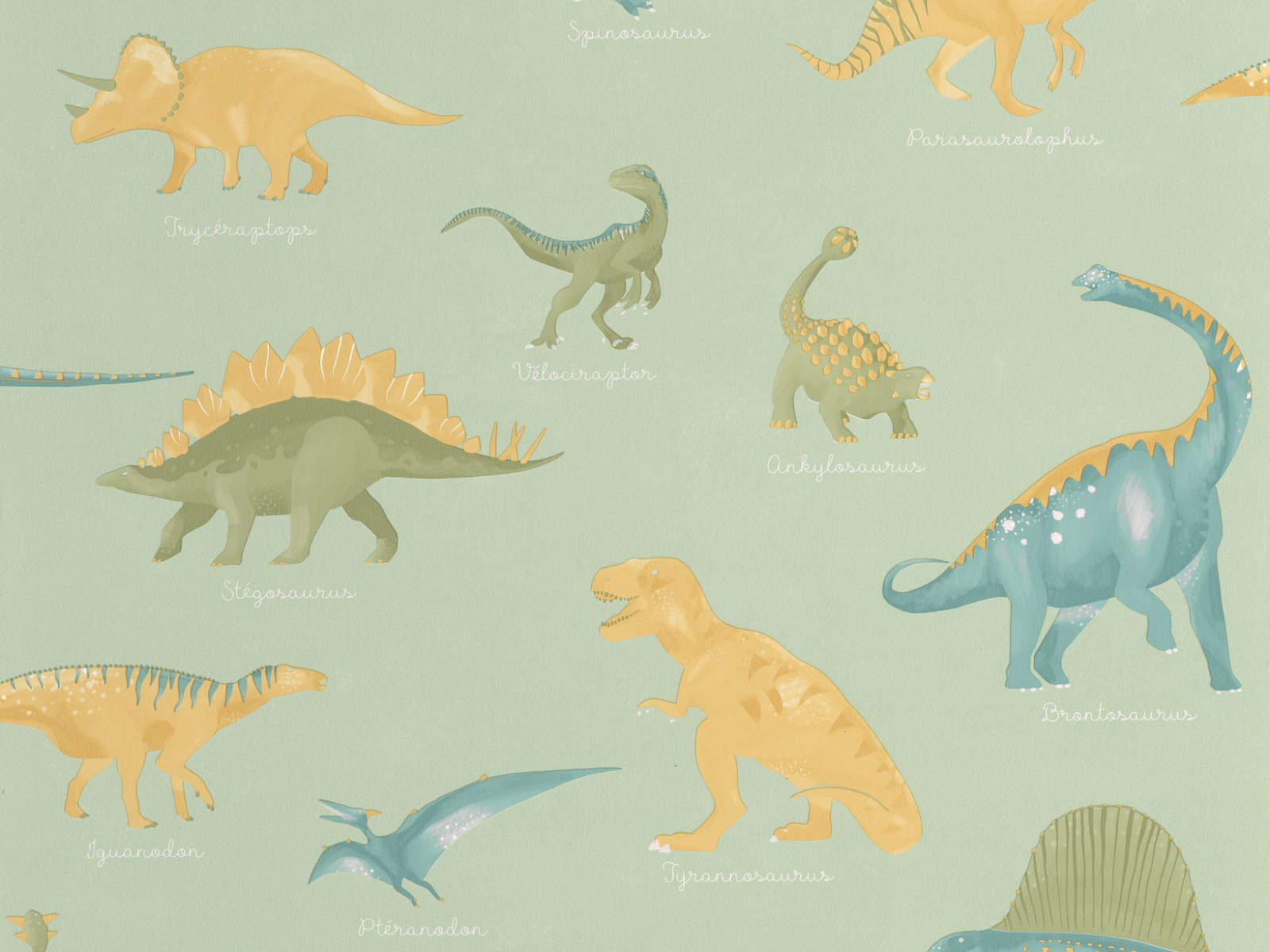 Caselio Les Mini Mondes Jurassique - 105707001