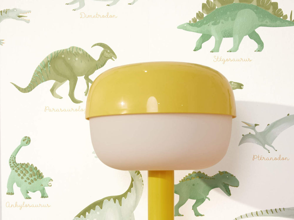 Caselio Les Mini Mondes Jurassique - 105707100