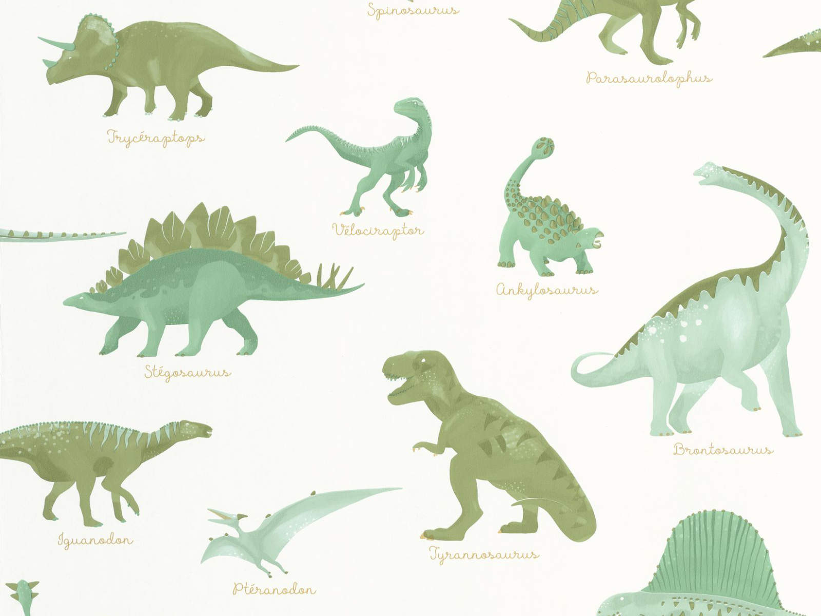 Caselio Les Mini Mondes Jurassique - 105707100