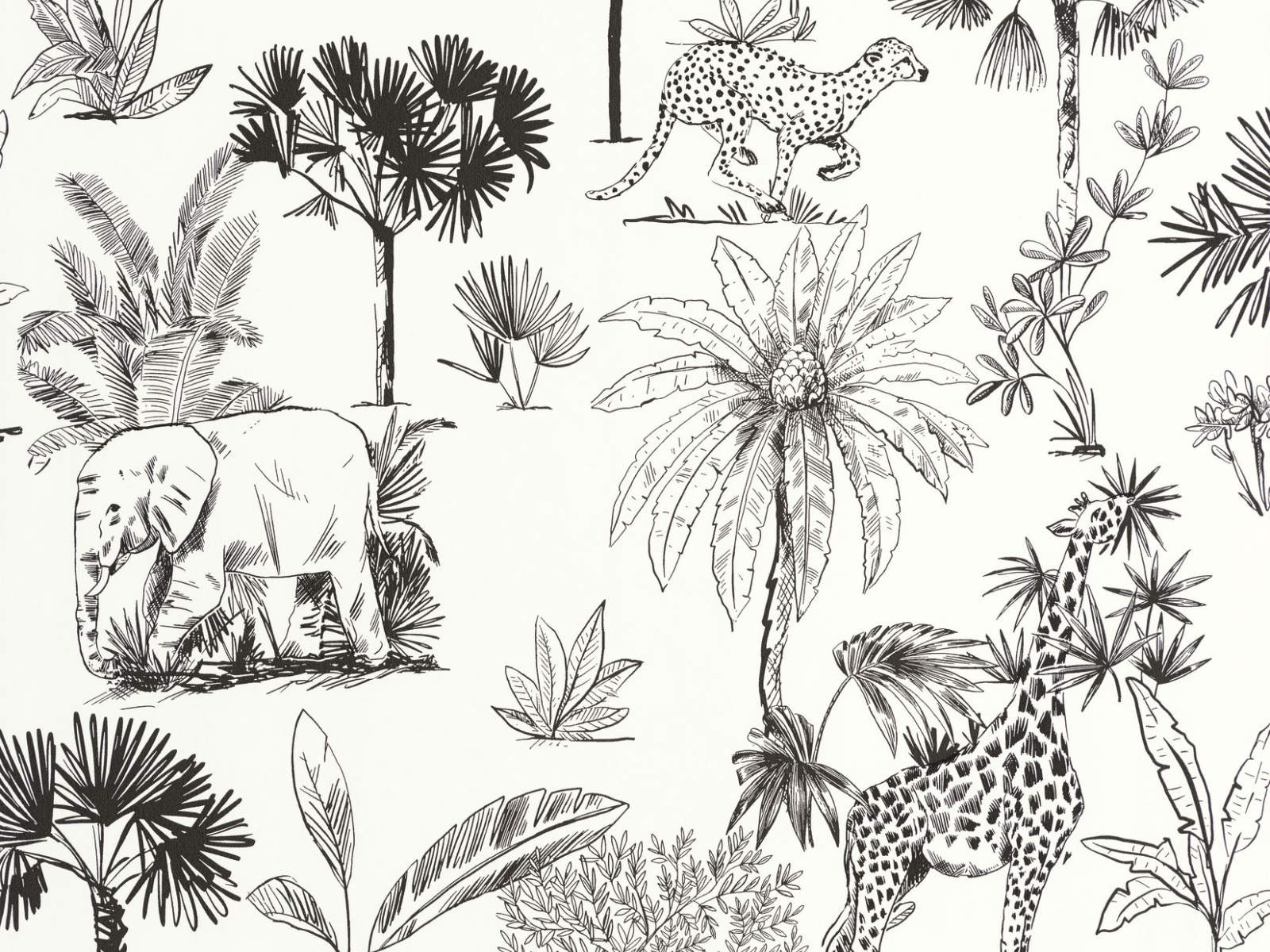 Caselio Les Mini Mondes Balade dans la Savane - 105739090