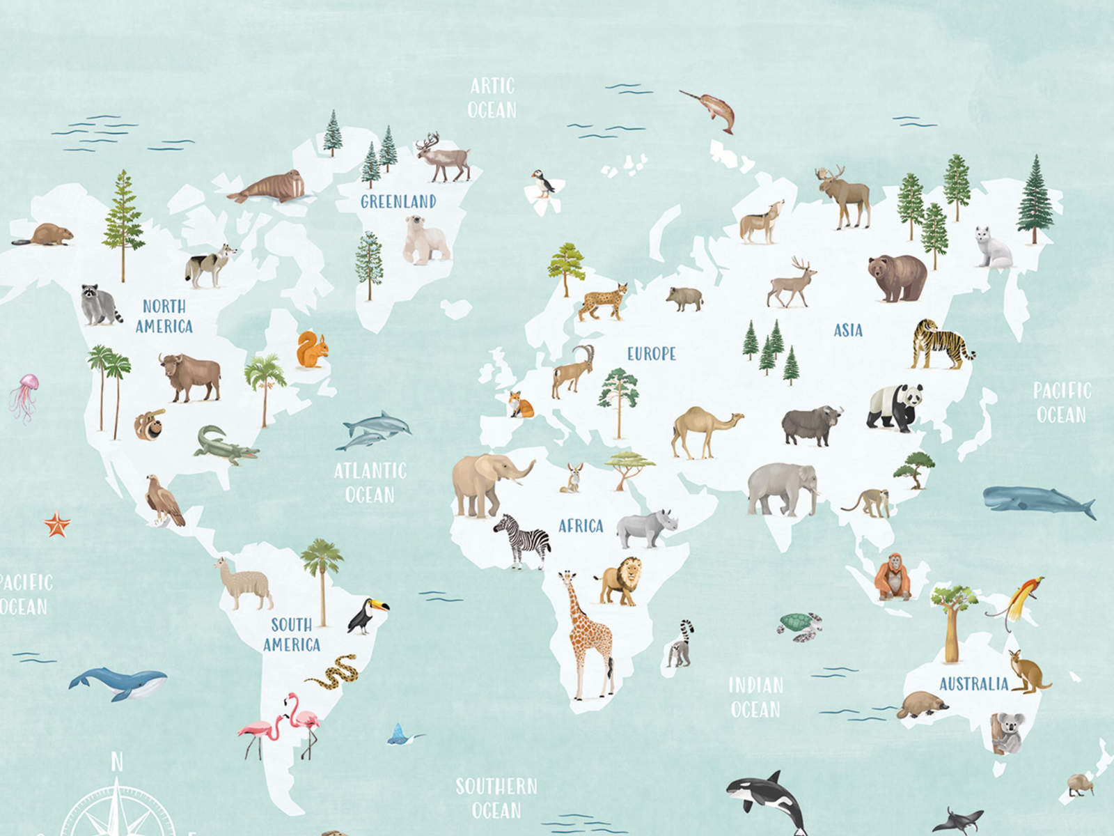 Caselio Les Mini Mondes Découvrir le Monde L - 105766302