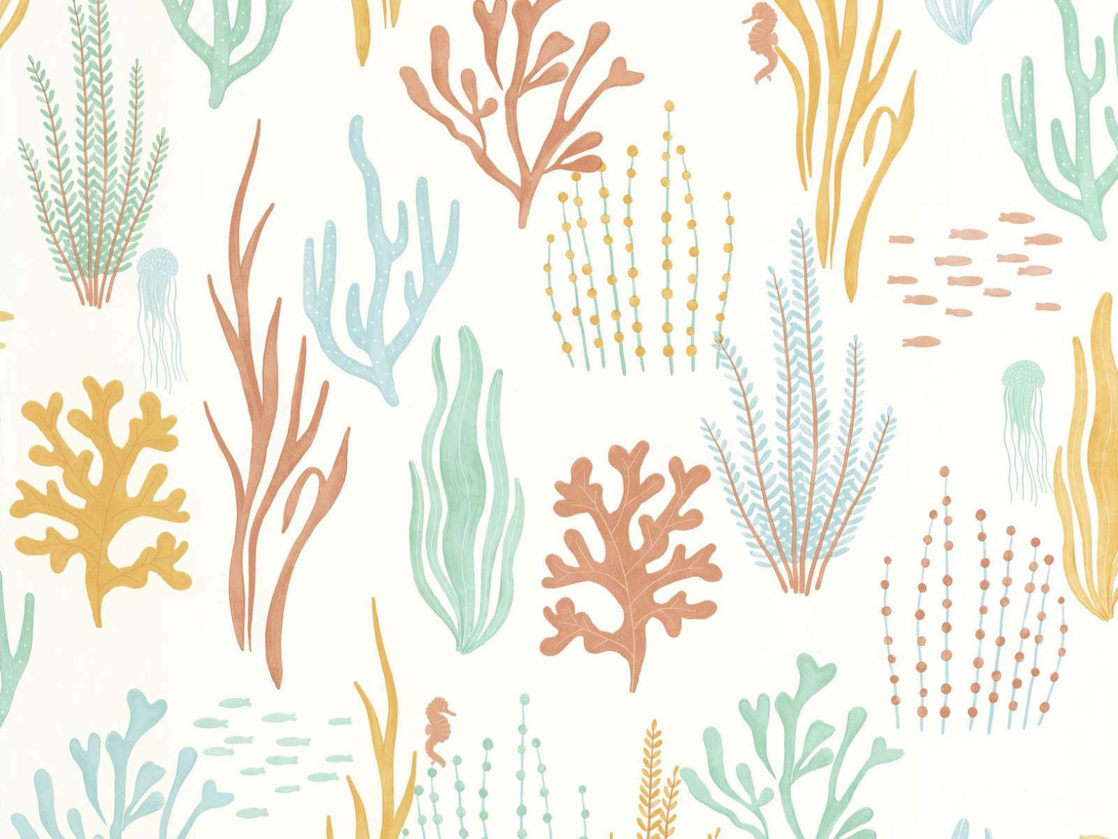 Caselio Les Mini Mondes Les Fonds Marins - 105814325