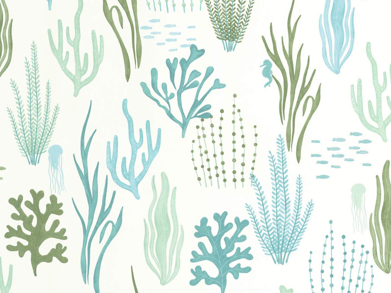 Caselio Les Mini Mondes Les Fonds Marins - 105817160