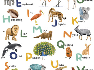 Caselio Les Mini Mondes Let's Learn the Alphabet M - 105857003