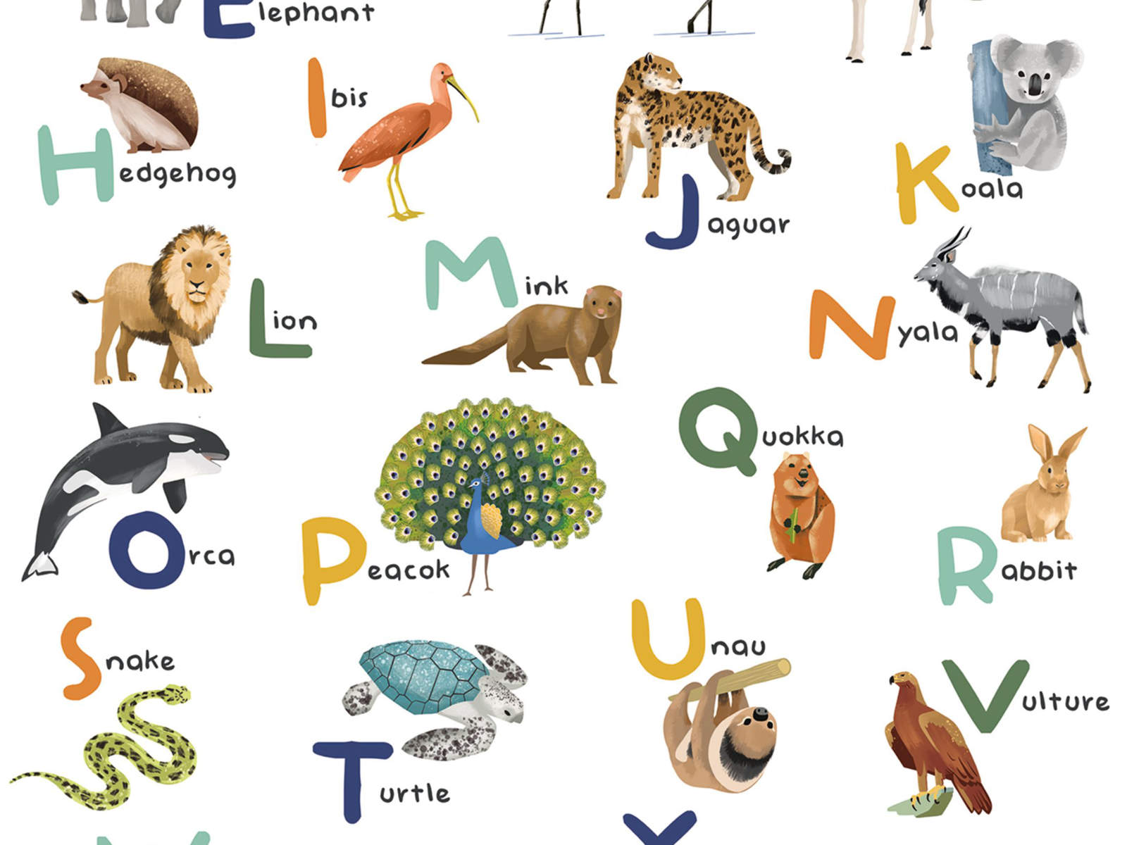 Caselio Les Mini Mondes Let's Learn the Alphabet S - 105857005