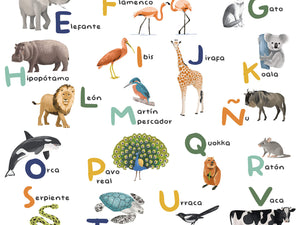 Caselio Les Mini Mondes Aprendemos el Alfabeto S - 105863405