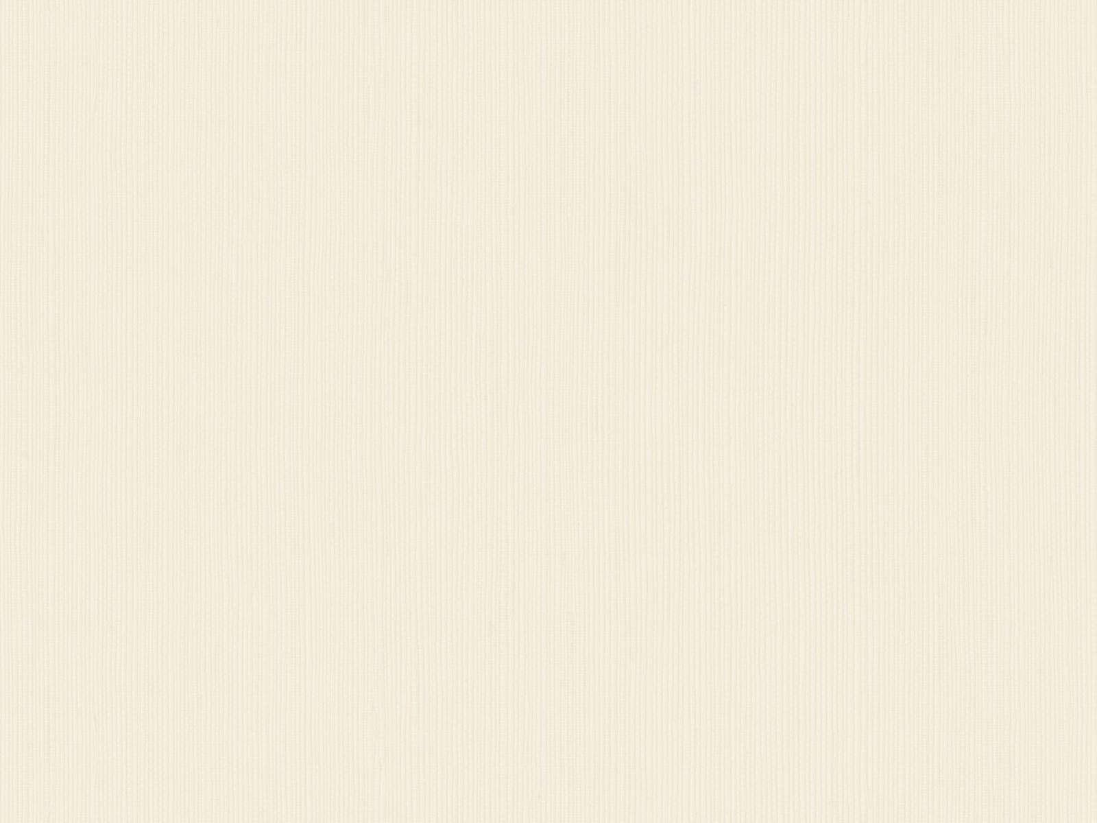 Caselio Borneo Unis - 106011045