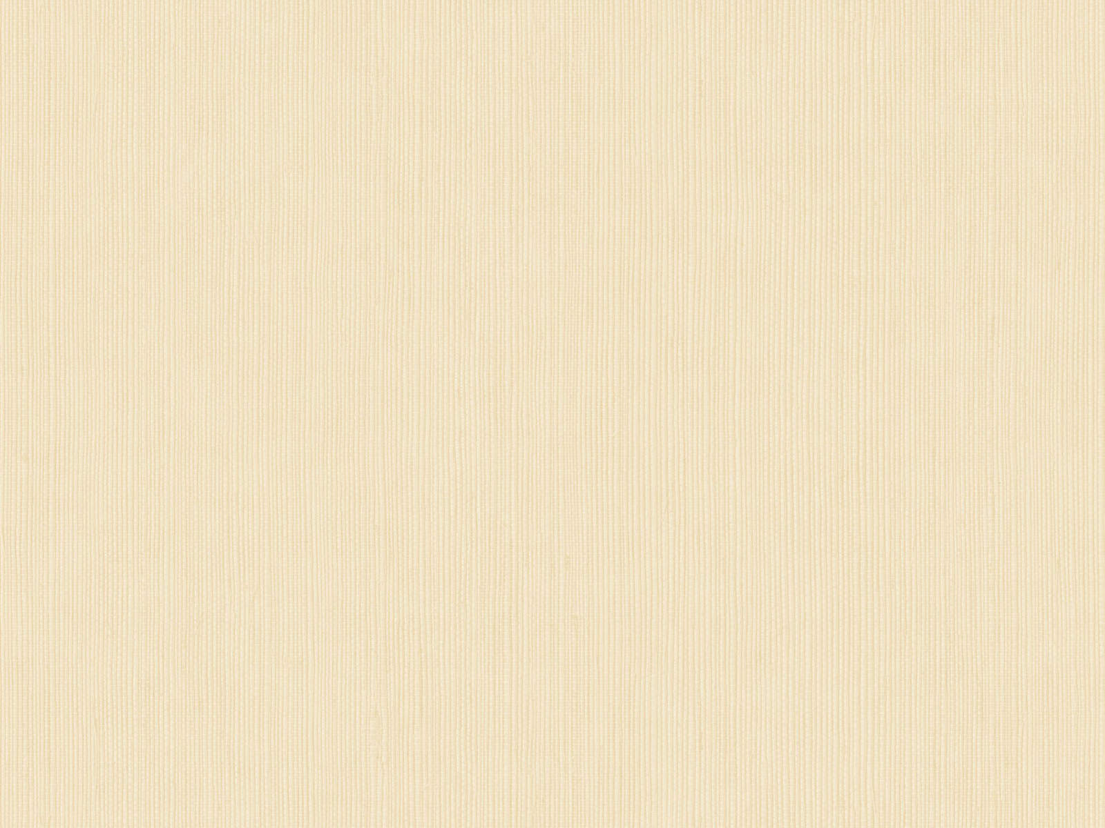 Caselio Borneo Unis - 106011129