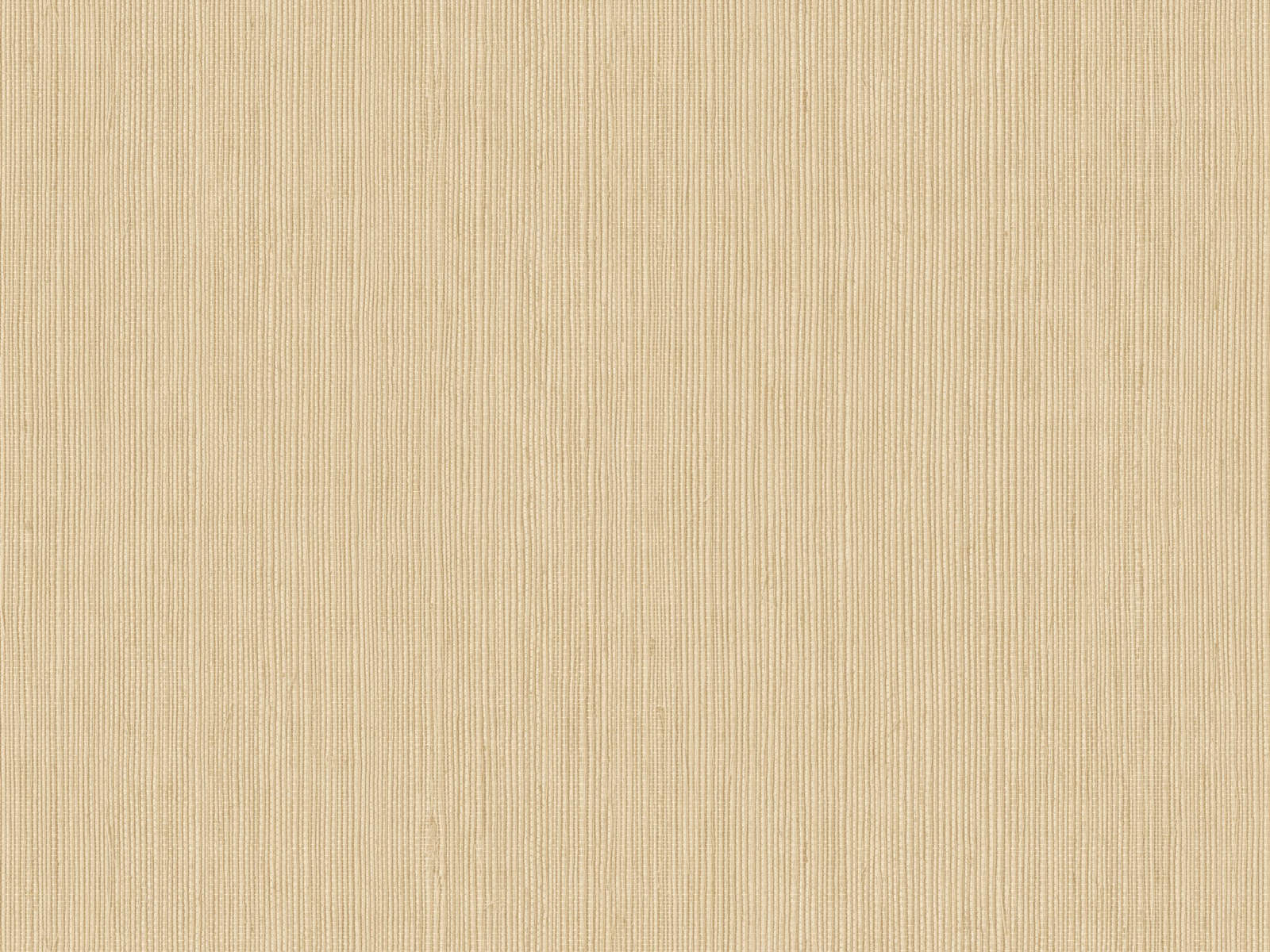 Caselio Borneo Unis - 106011245