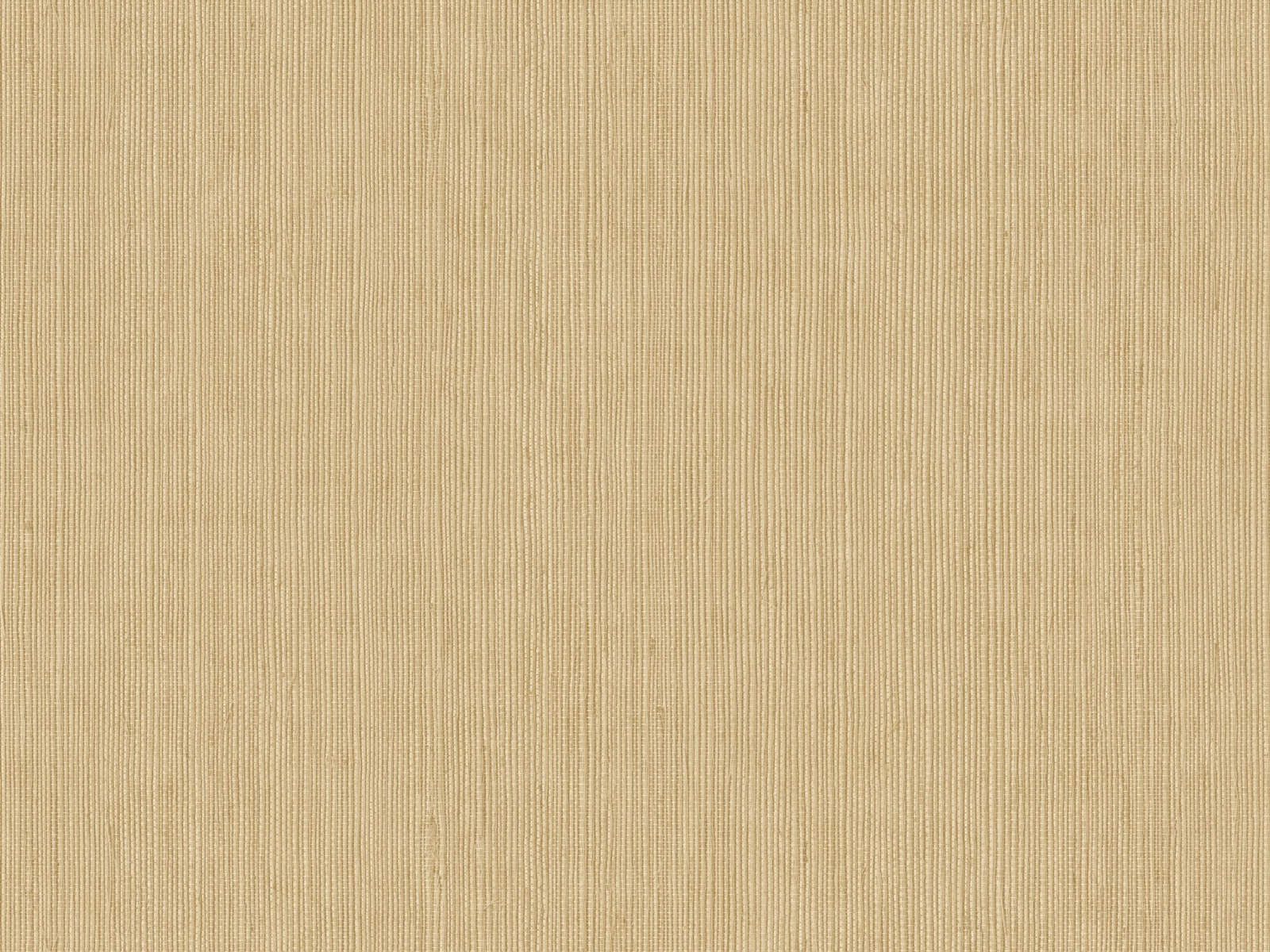 Caselio Borneo Unis - 106011370