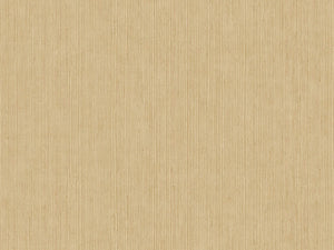 Caselio Borneo Unis - 106011370