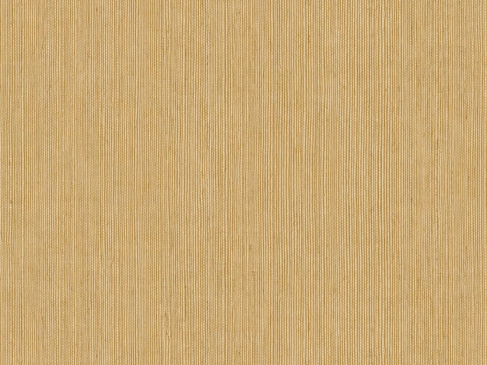 Caselio Borneo Unis - 106011403