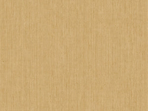 Caselio Borneo Unis - 106011403