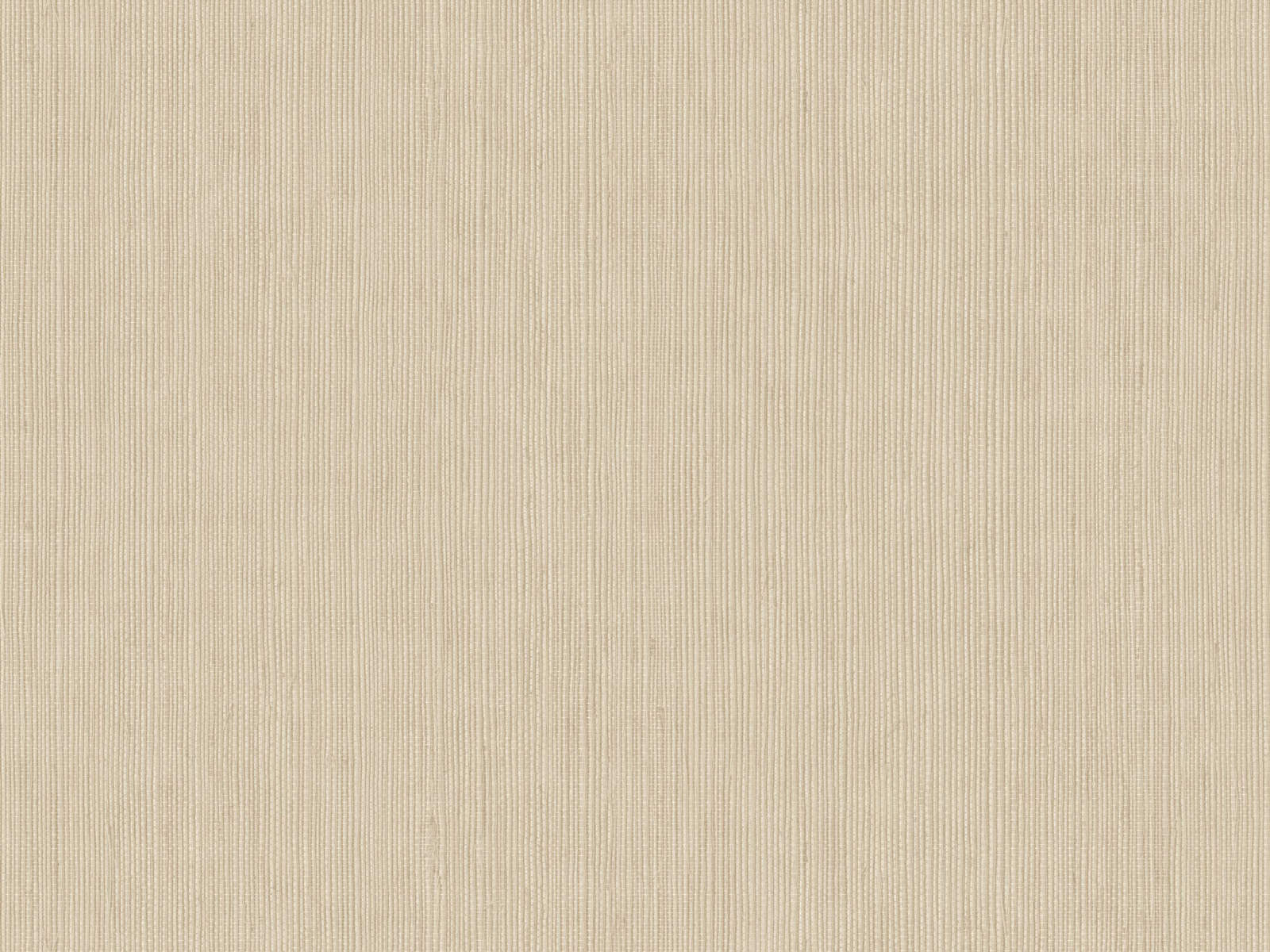 Caselio Borneo Unis - 106011500