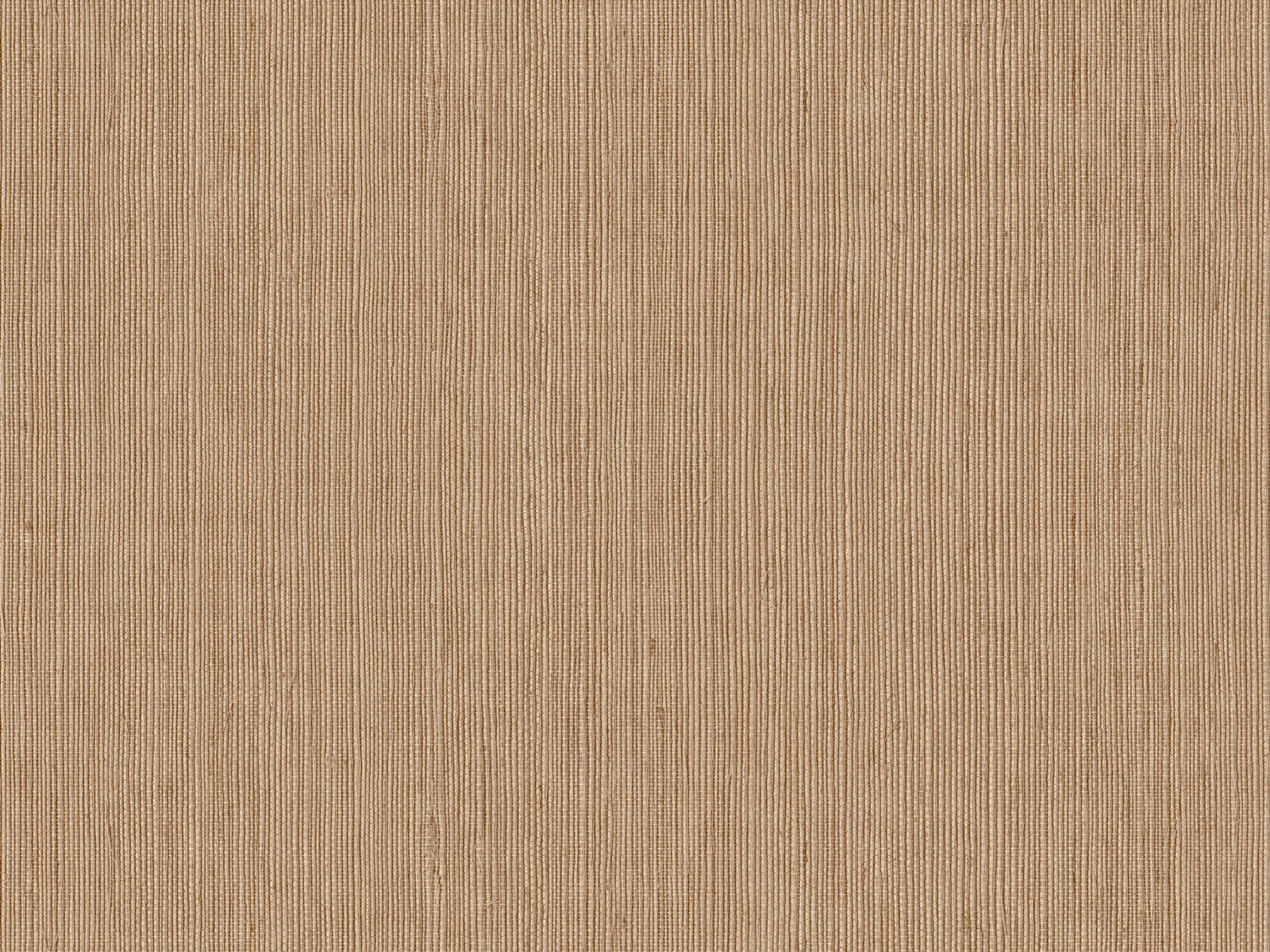 Caselio Borneo Unis - 106012178