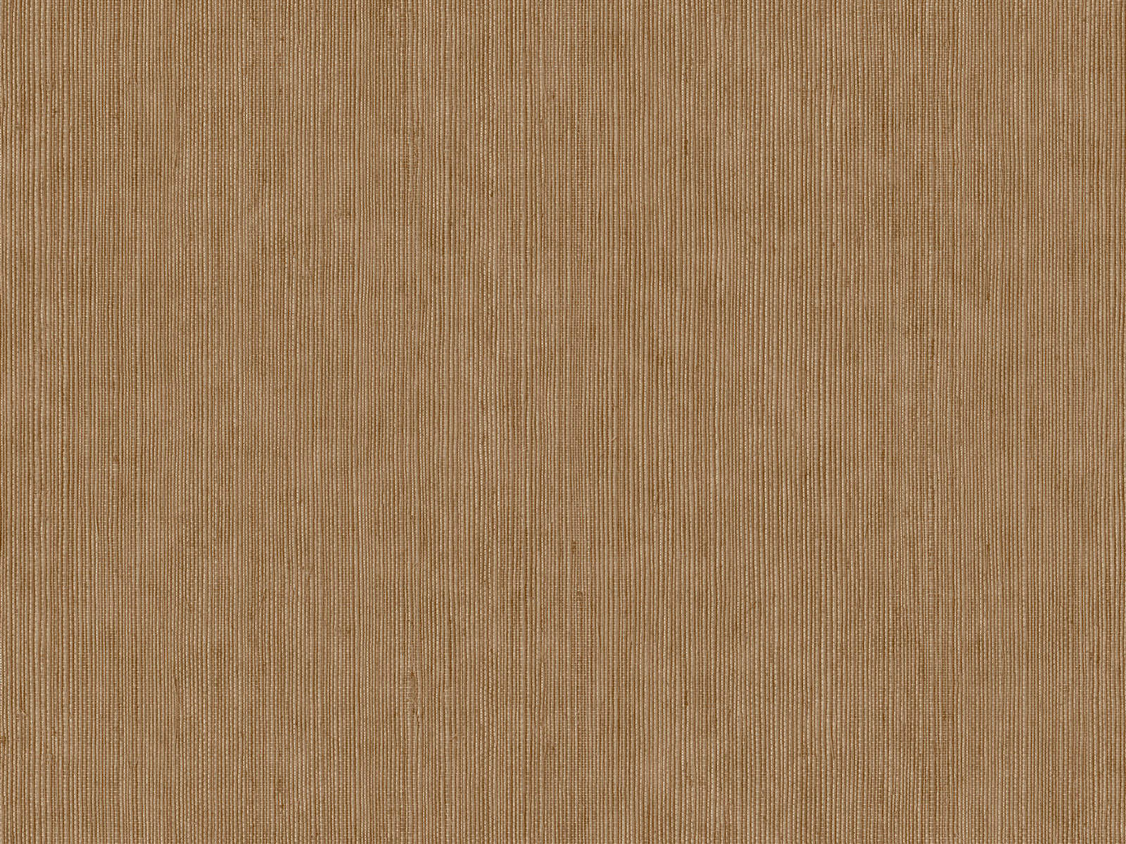 Caselio Borneo Unis - 106012367