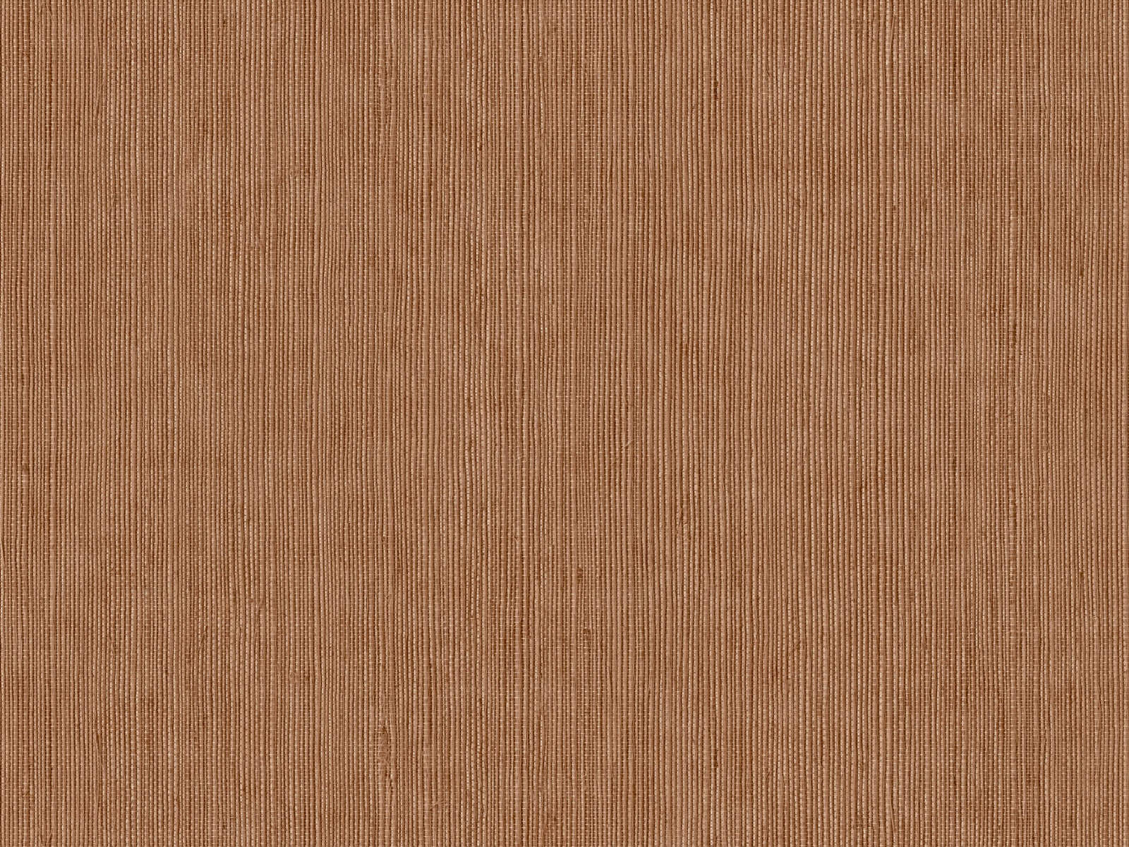 Caselio Borneo Unis - 106012450