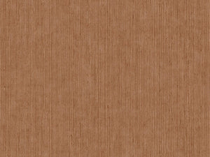 Caselio Borneo Unis - 106012450