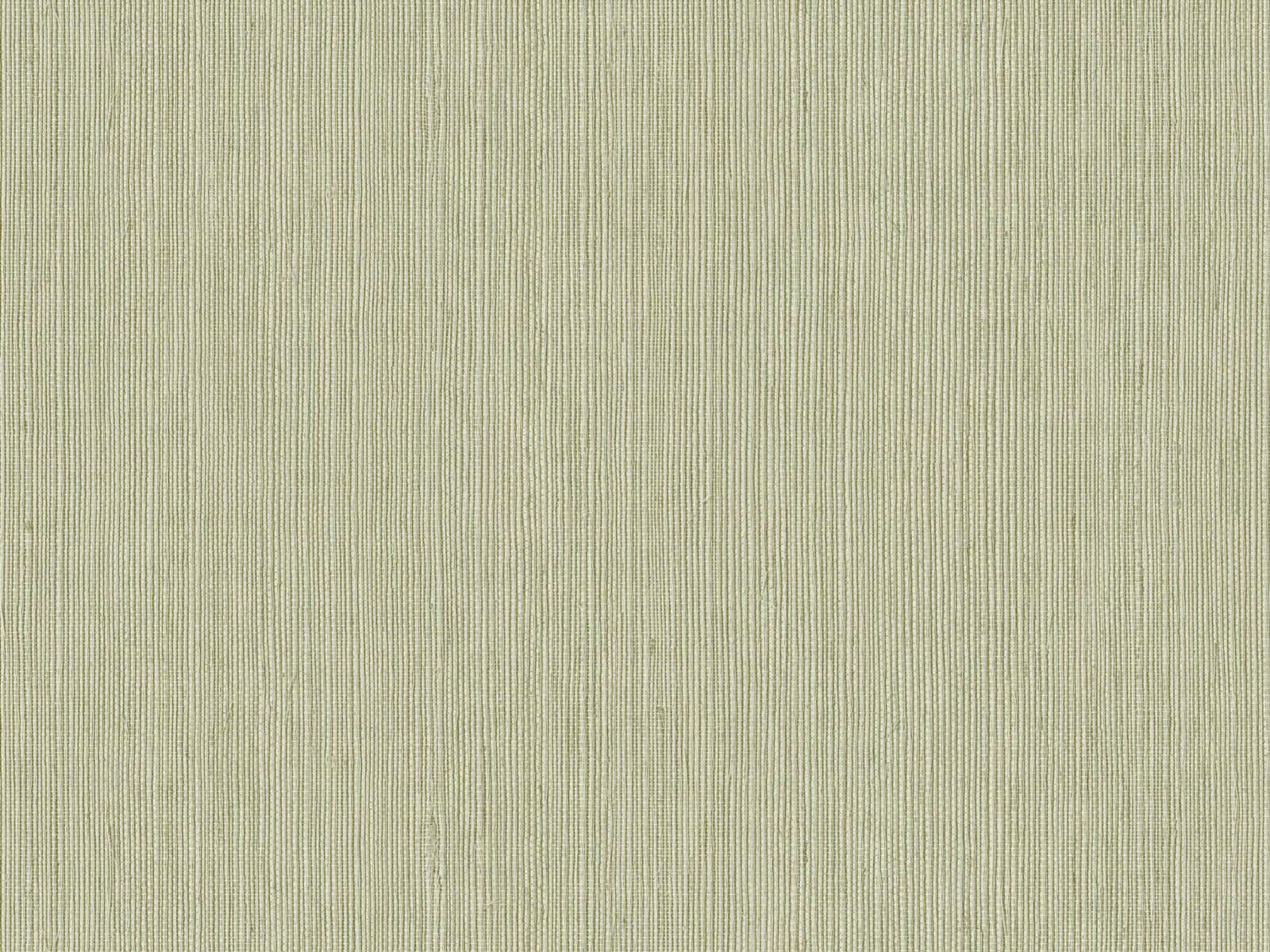 Caselio Borneo Unis - 106017004