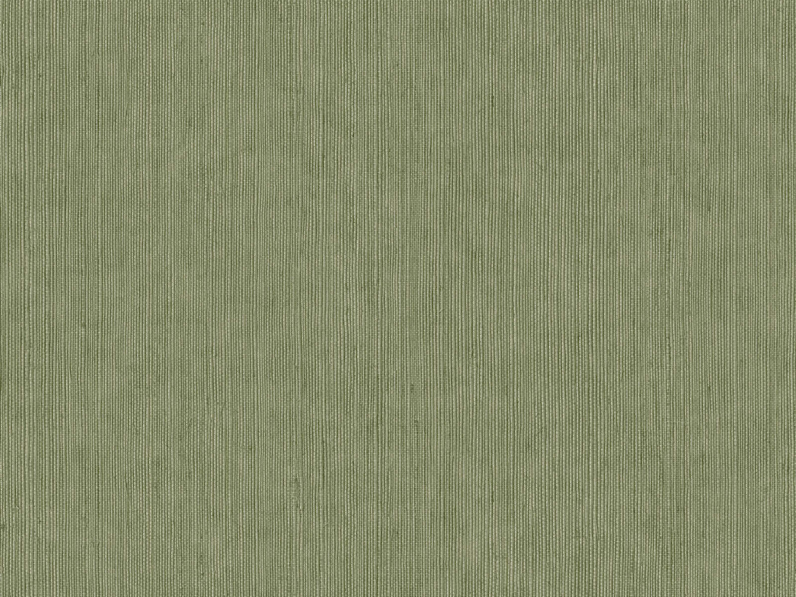 Caselio Borneo Unis - 106017230