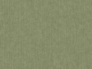 Caselio Borneo Unis - 106017230