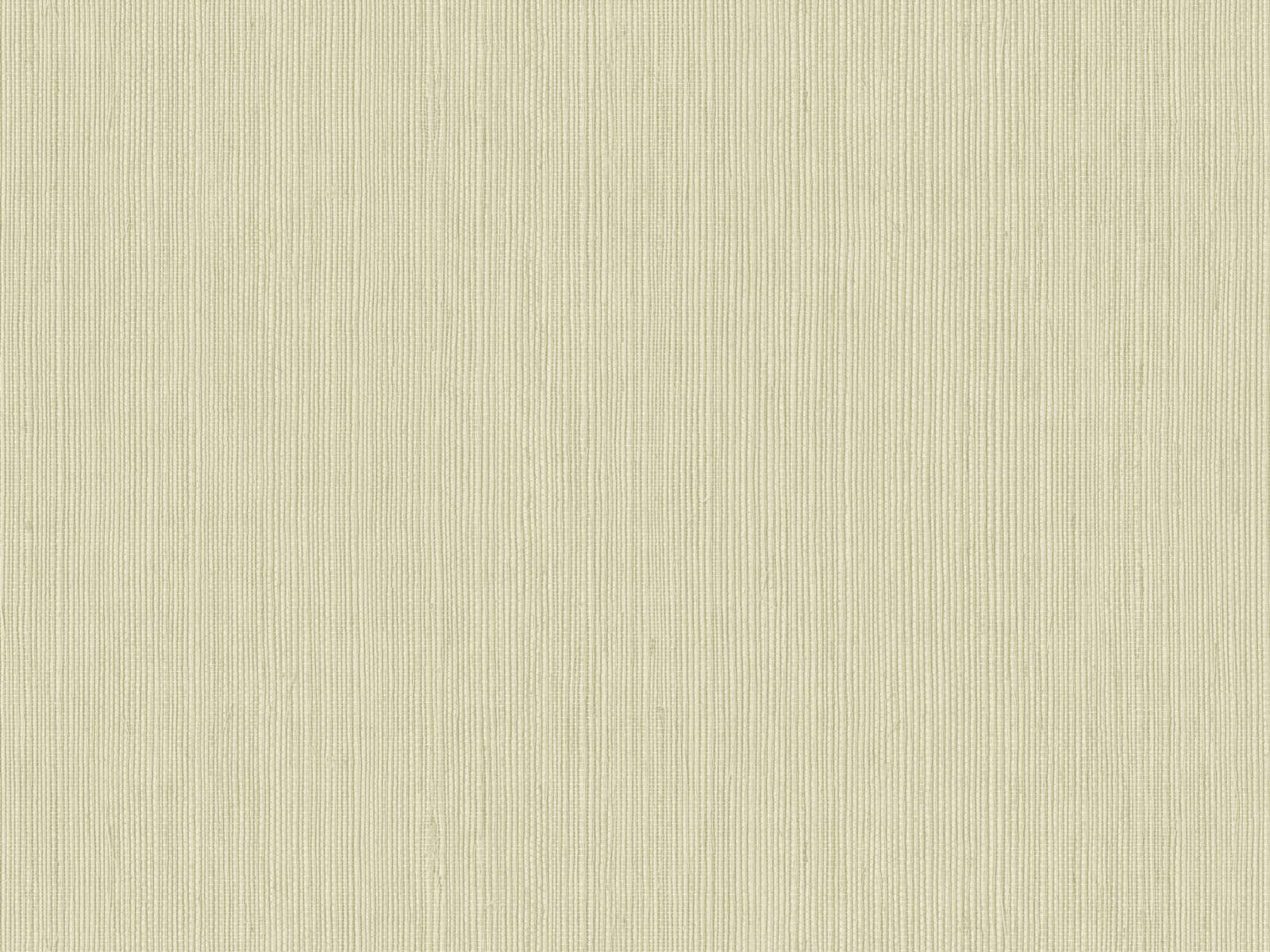 Caselio Borneo Unis - 106017300