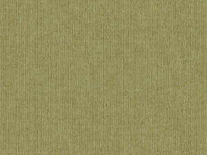 Caselio Borneo Unis - 106017450