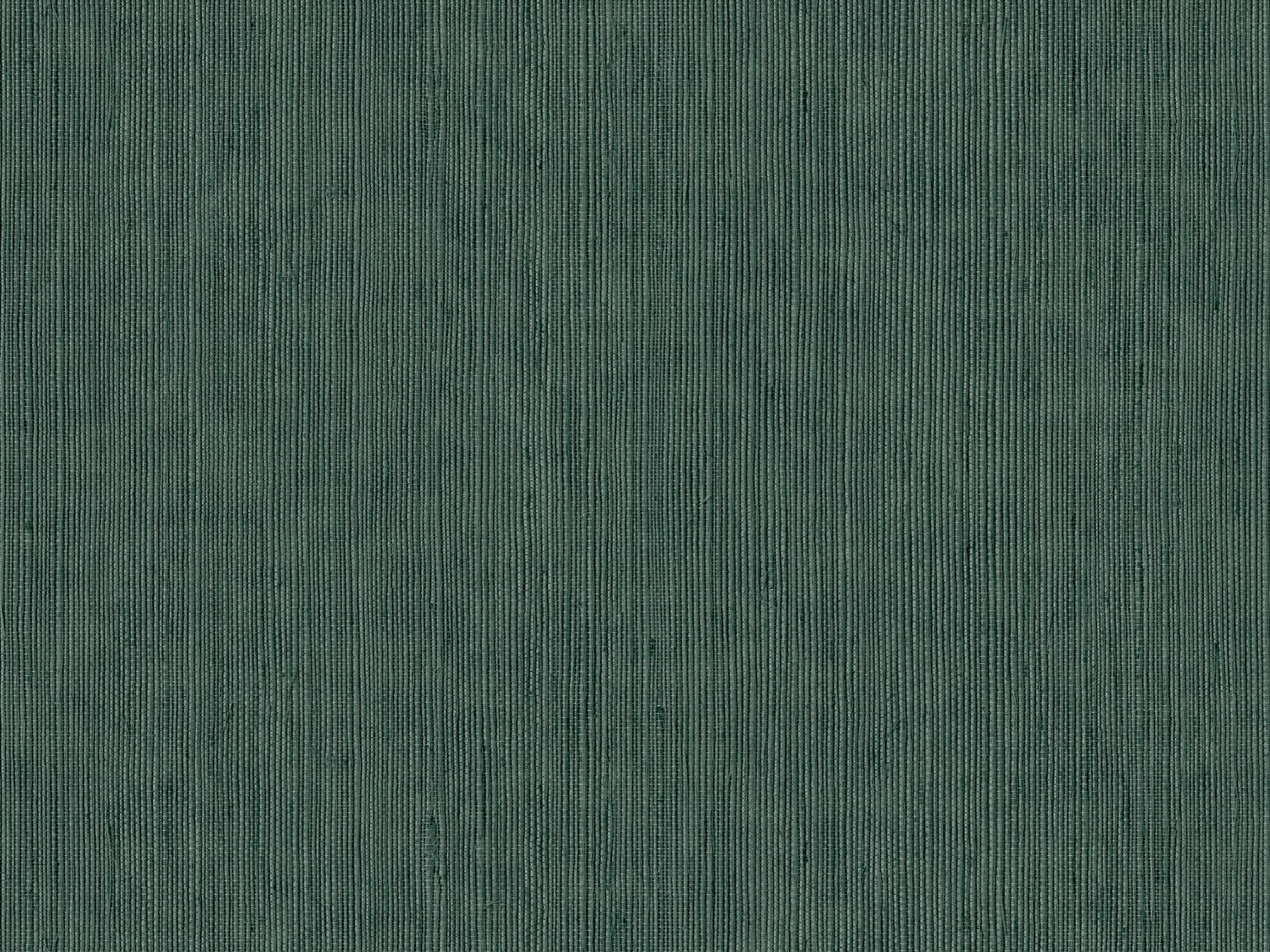 Caselio Borneo Unis - 106017589