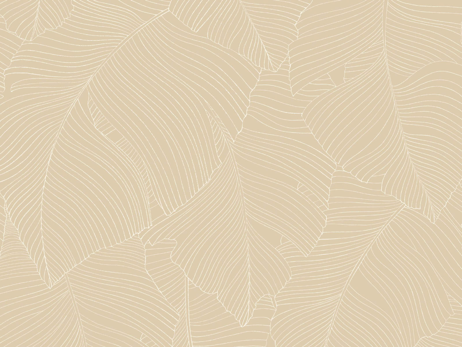 Caselio Borneo Vegetalia - 106500010